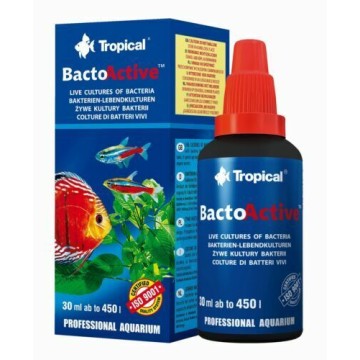 Bacto Active