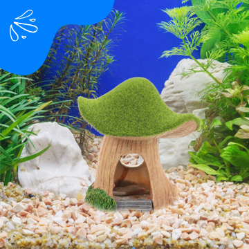 Aquarium Accessories