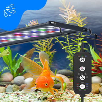 Aquarium Lighting